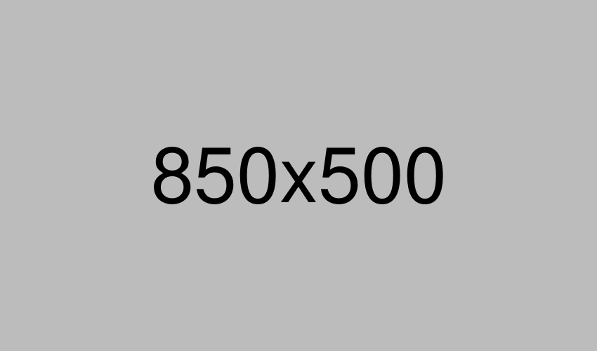 Web Development Service